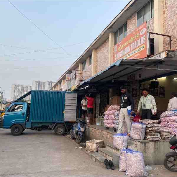 Top-Grade Healthy Grains