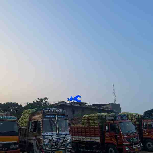 Nutrient-Rich Multi Grains