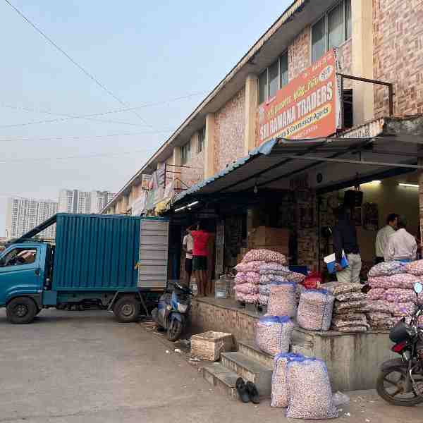 Wholesome Grain Collection