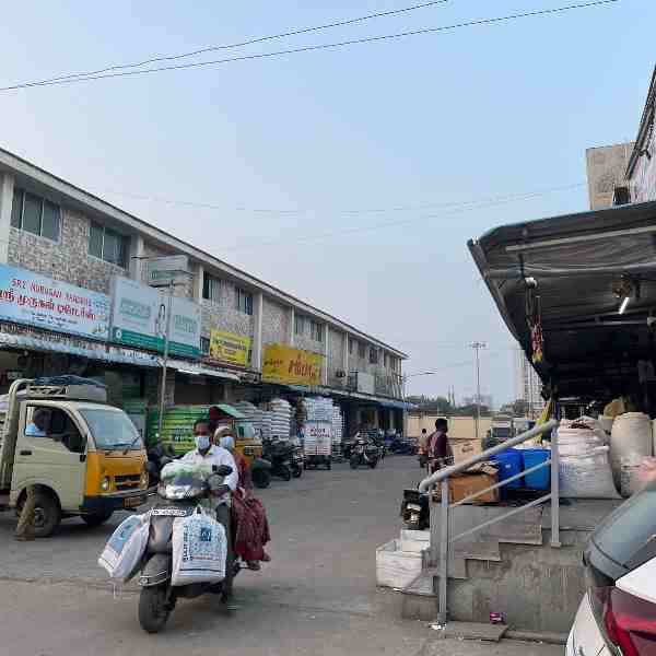 Diverse Grain Varieties